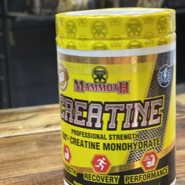 Créatine monohidrat (mammouth)
300 Grm